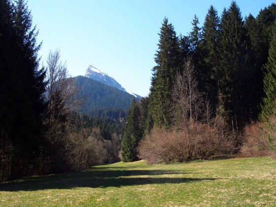 St Hugues de Chartreuse