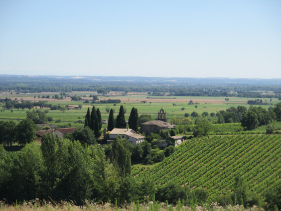 St Salvy de Coutens depuis les coteaux