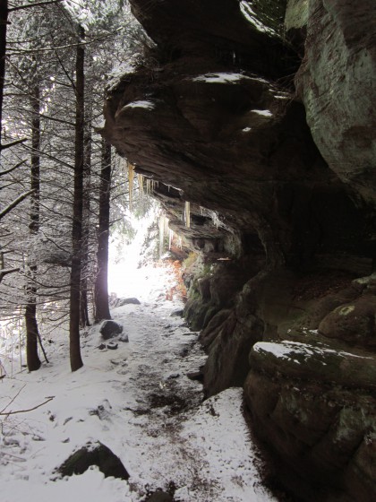 Stalactites sur paroi en grès