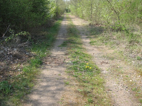Ste Solange. Ancienne ligne Bourges-Cosne.