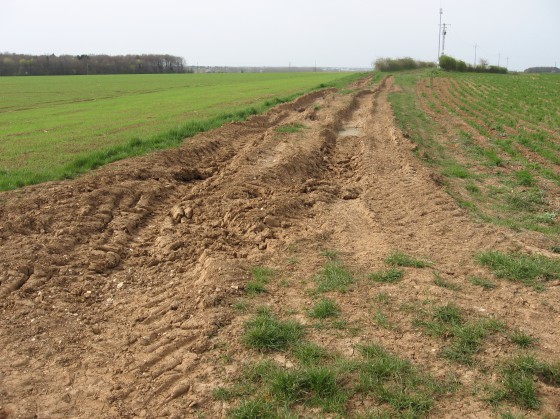 Ste Solange. Voie romaine.