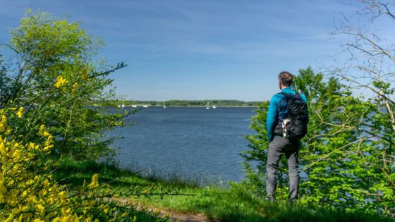 Falaise abrupte au bord de la Schlei