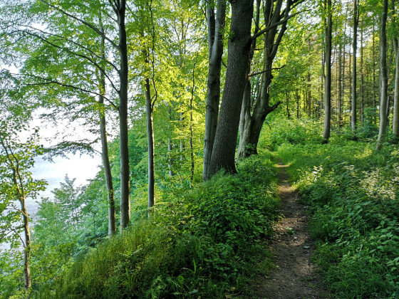Steilküste