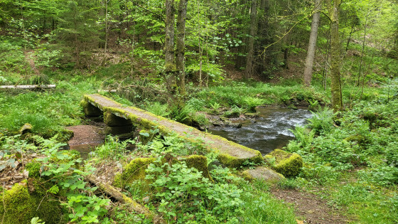Steinsteg über den Triensbach