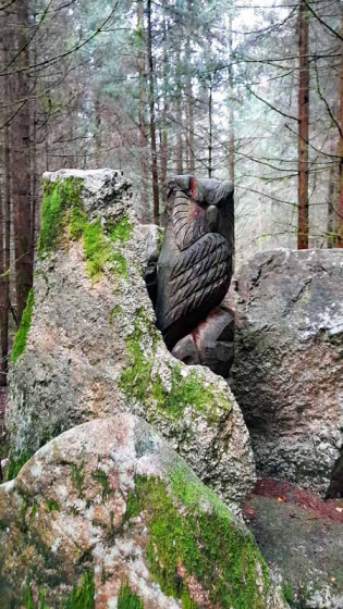 Steinwaldeule