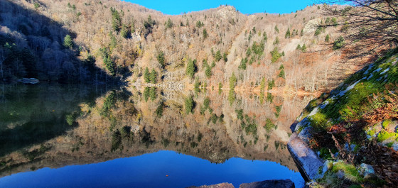 Sternsee
