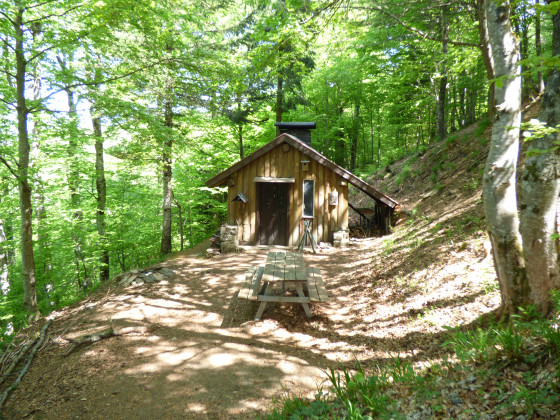 Storkenkopf