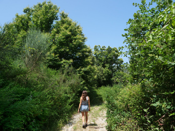 Strada Napuleone