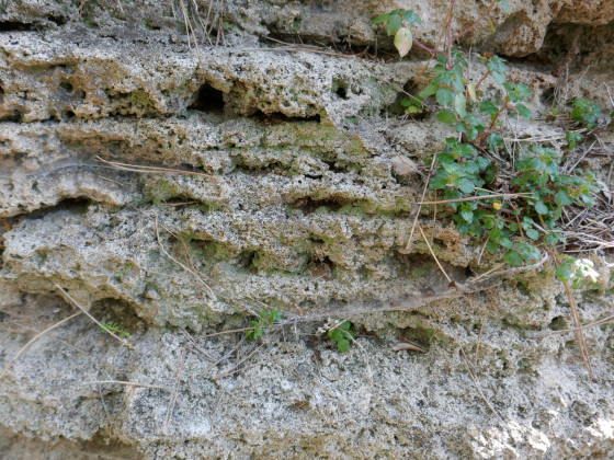 Structures analogues à celles des grès de Sauviou