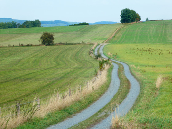 Sue les hauteurs de Tillet