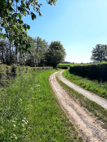Suivre  ce genre de chemin encadré de haies , un bonheur