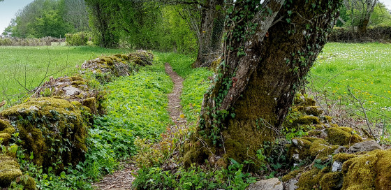 Suivre le sentier.