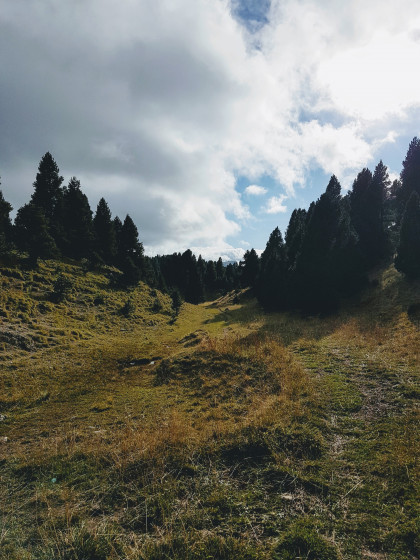 Suivre les traces de 4x4