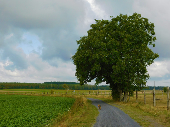 Sur l'ancienne voie ferrée