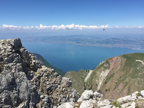 Sur l\'arête somitale