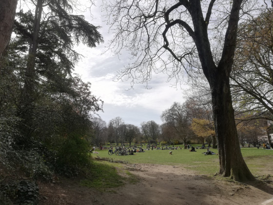 Sur l\'herbe au Parc Montsouris