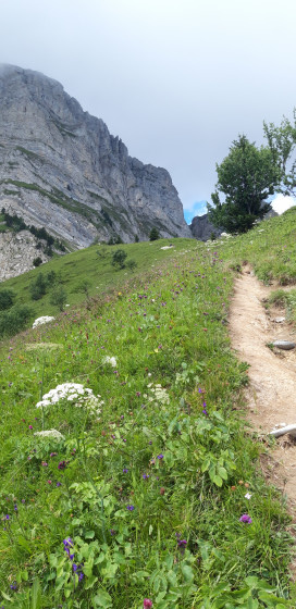 Sur la crête au dessus du ravin de Farnaud
