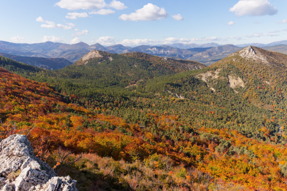 Sur la cr&ecirc;te de Chabre