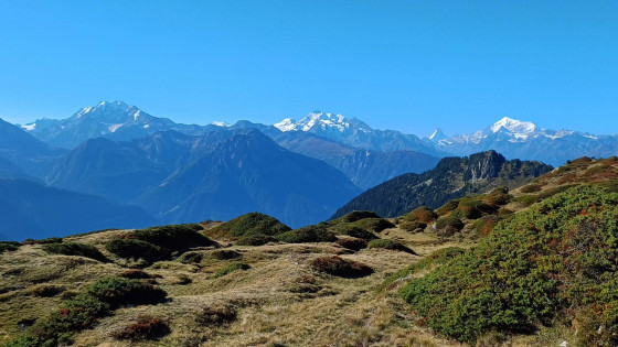 Sur la  crête Härdernagrat