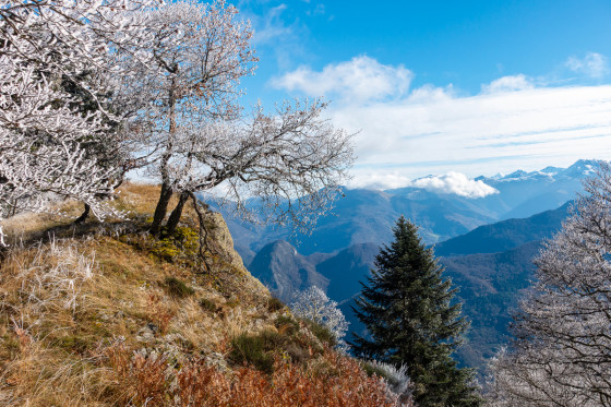 Sur la cr&ecirc;te