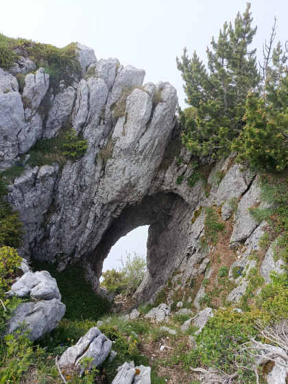 Sur la crête