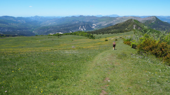 Sur la montagne de Chamouse