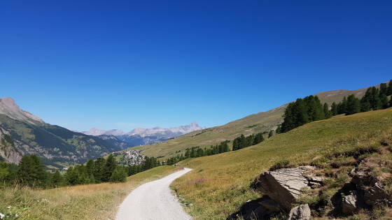 sur la piste ... en montant