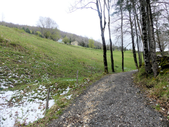 Sur la Roche