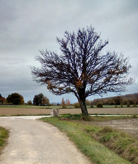 Sur la route de Combemont