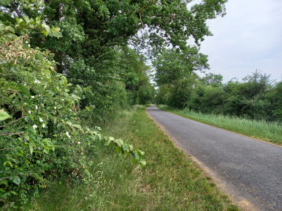 Sur la route des Brosses