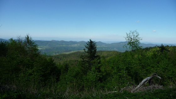 Sur la route des Sapins