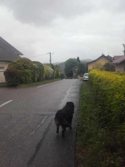 Sur la route...