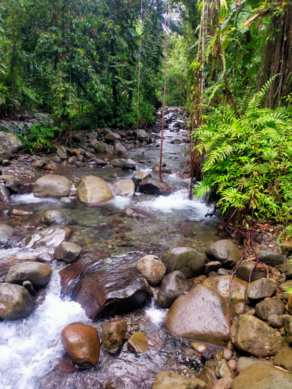 Route des chutes Moreau