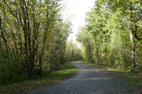 Sur la via Rhôna