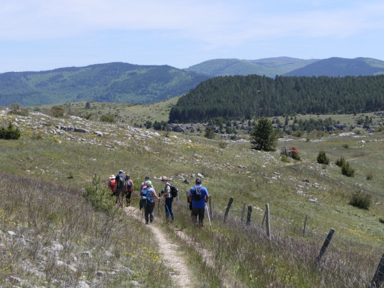 Sur le Causse Méjean