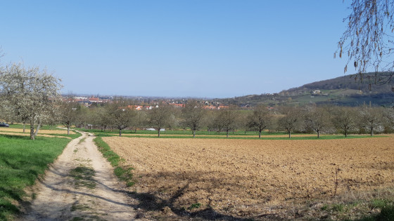 Sur le chemin de Compostelle