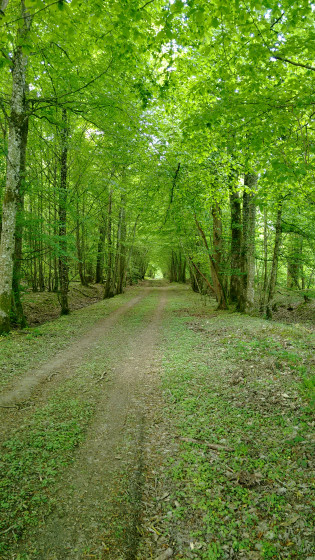 Sur le chemin de Compostelle