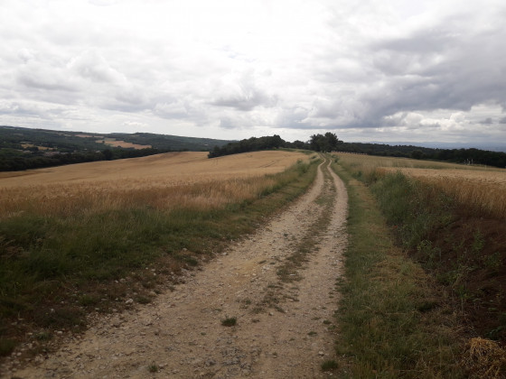 Sur le chemin de crêtes