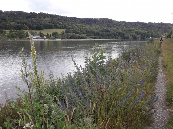Sur le chemin de halage en bord de Seine
