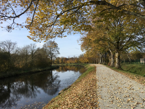 Sur le chemin de halage rive droite du canal