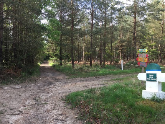 Sur le chemin de la grande traverse