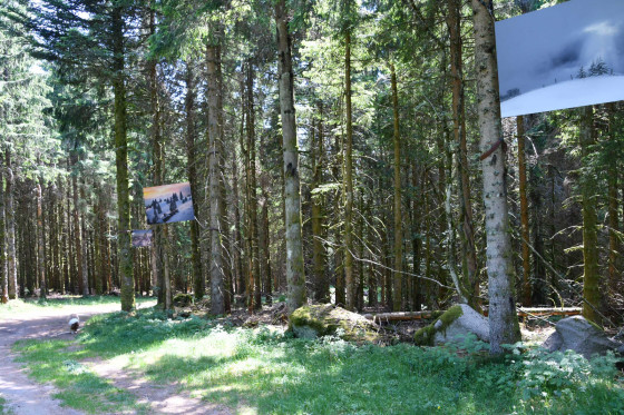 Sur le chemin de la Tête de Grouvelin