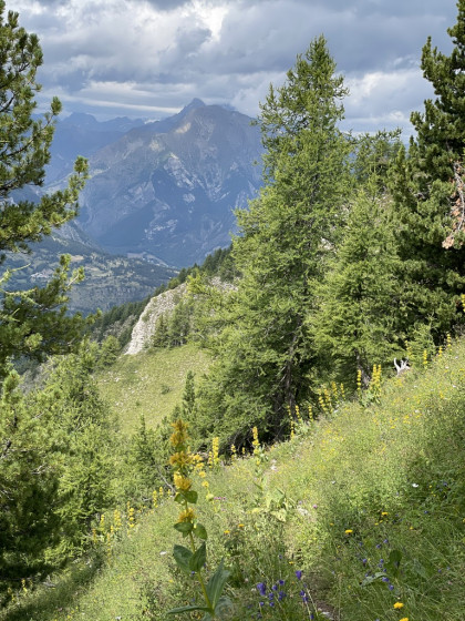 Sur le chemin de la "travers&eacute;e de l'Autane"