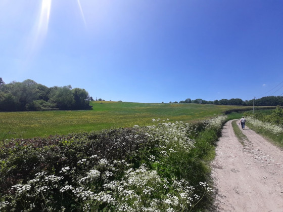 Sur le chemin de retour vers Solre-le-Ch&acirc;teau