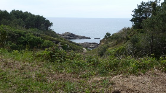 Sur le chemin de retour