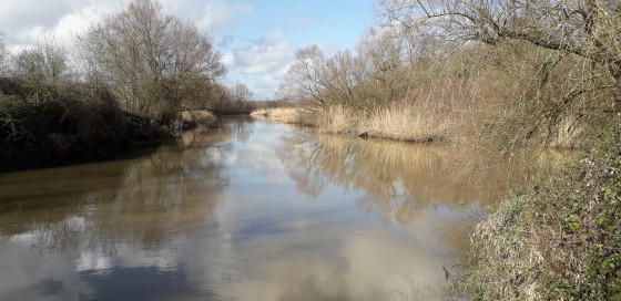 Sur le chemin des canotiers