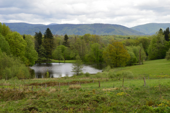 Sur le chemin des Epoissets