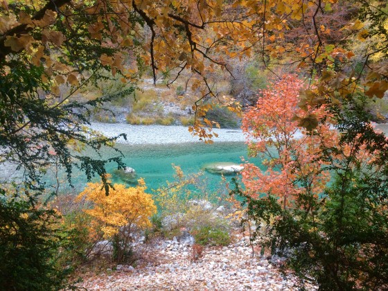 Sur le chemin des Gorges...