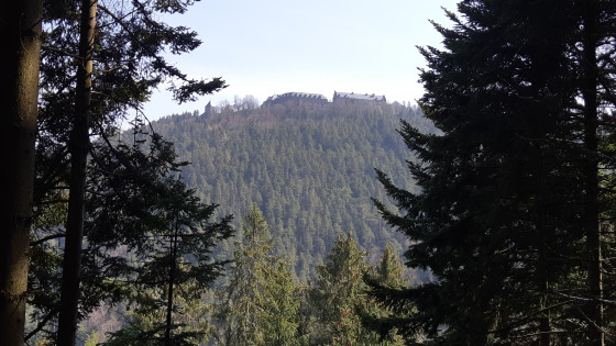 Sur le chemin des pélerins