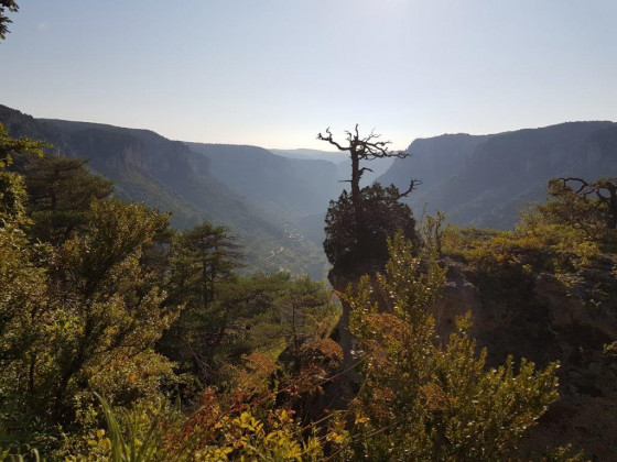 Sur le chemin du Balcon du Vertige